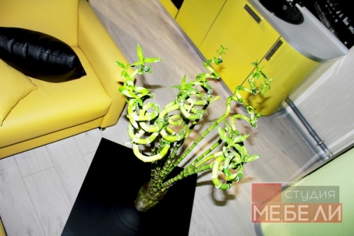 Яркая желтая кухня