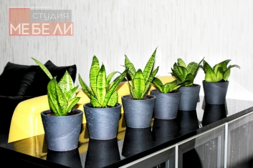 Яркая желтая кухня